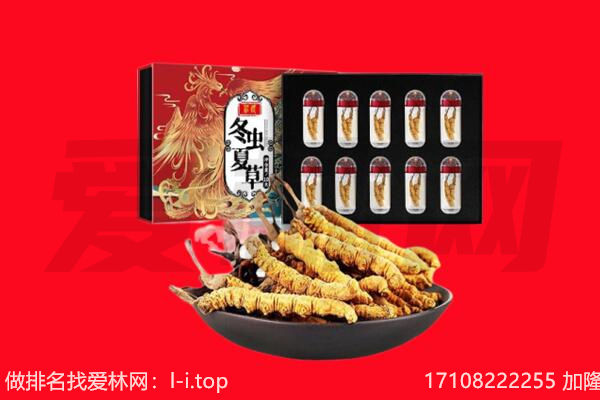 巴彦卓尔回收虫草.jpg
